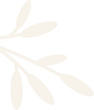 traditional yoga classes online in India